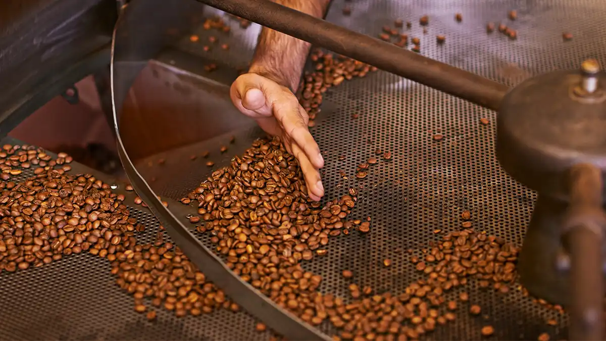 A Influência da Torra no Café Especial: Descubra como o processo transforma o Sabor e Aroma