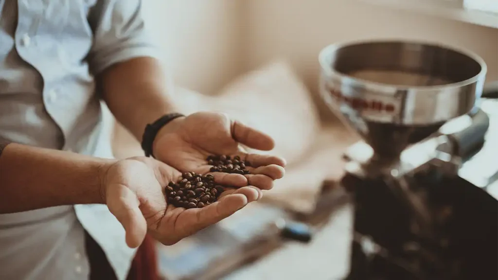 Pontuação dos Cafés Especiais: Tudo o que você precisa saber