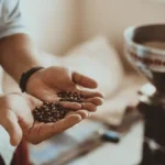 Especialistas em Café
